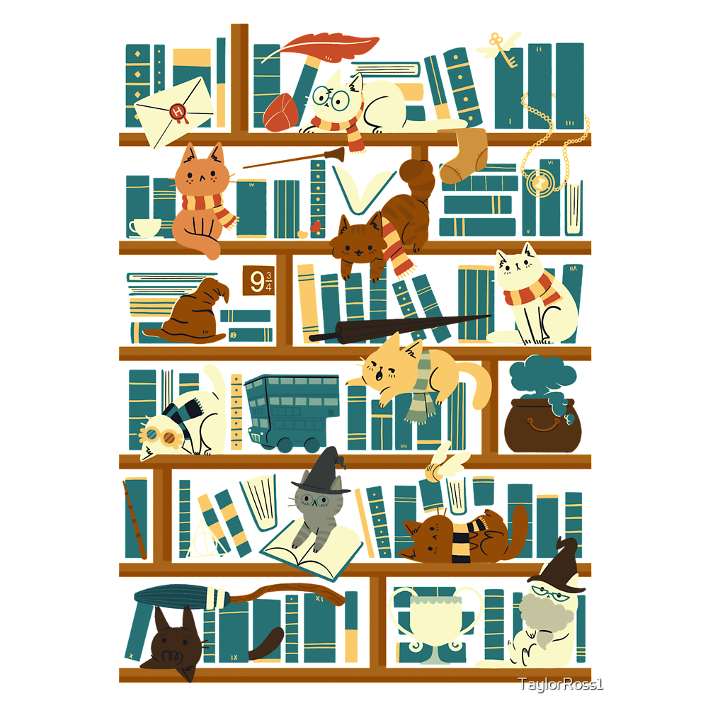 Library Magic School Classic T-Shirt - White Fox Boutique