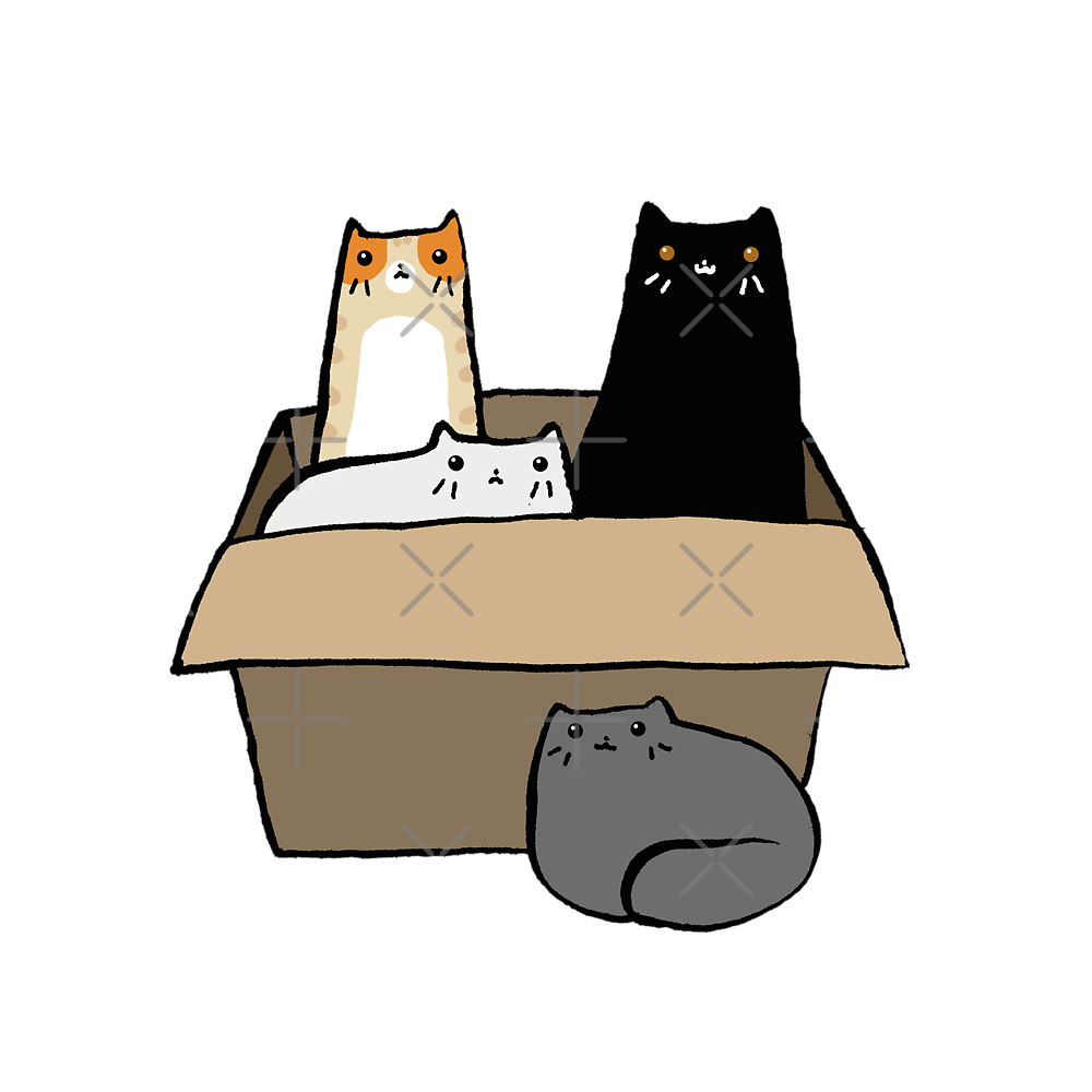 Cats in a Box Classic T-Shirt - White Fox Boutique