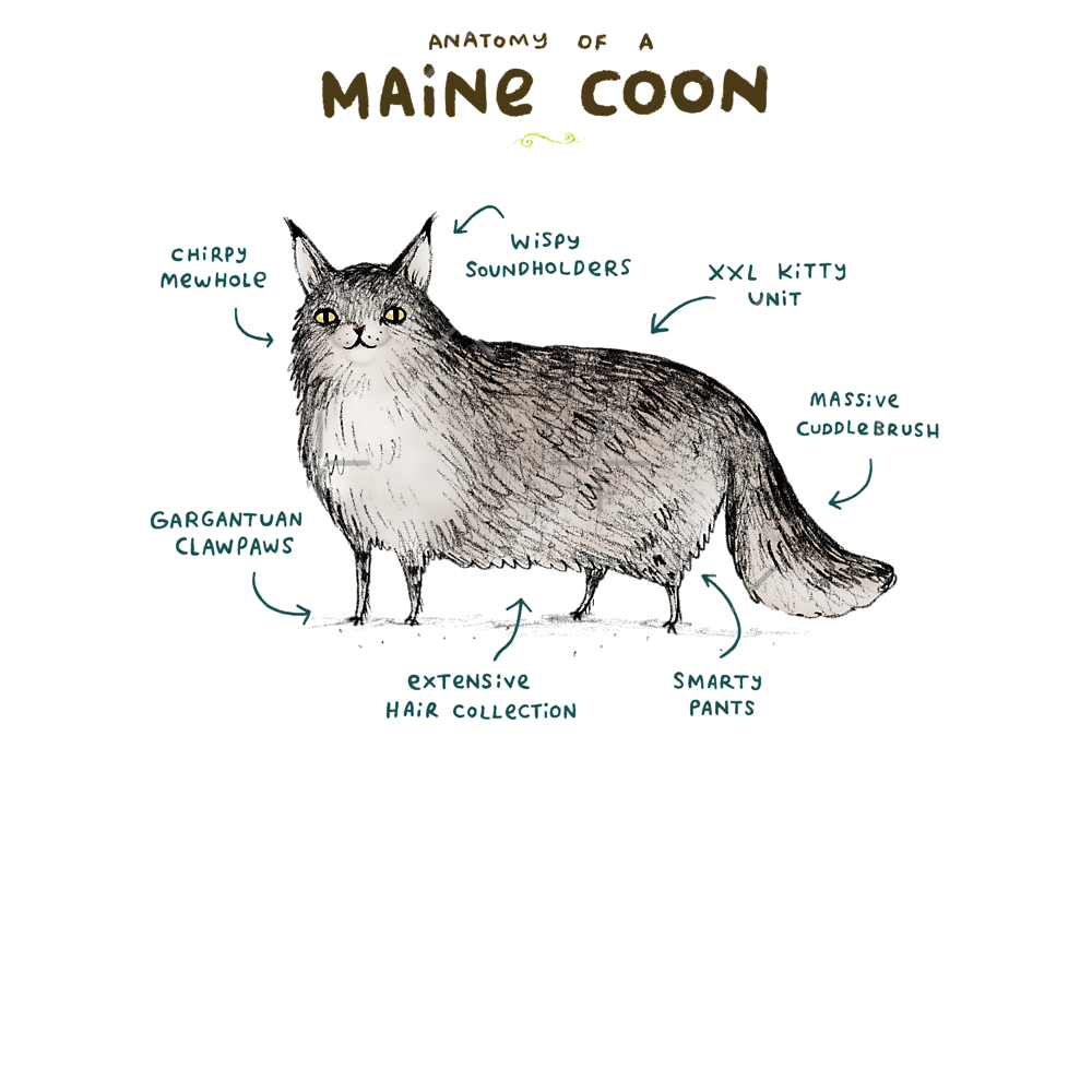 Anatomy of a Maine Coon Classic T-Shirt - White Fox Boutique