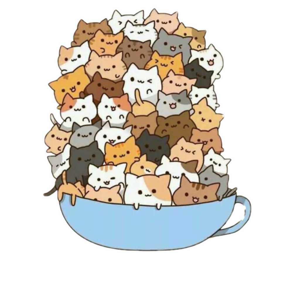 Bowl of Cats Classic T-Shirt - White Fox Boutique